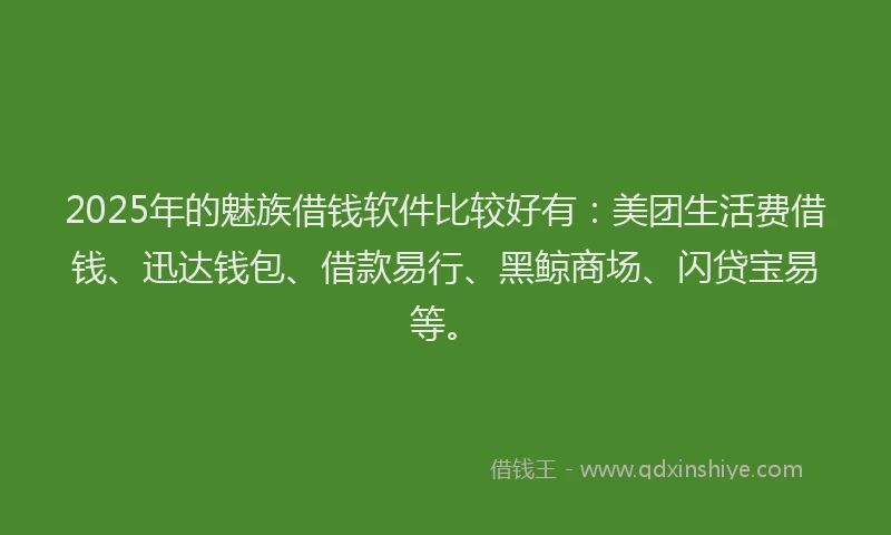 2025年的魅族借钱软件比较好有：美团生活费借钱、迅达钱包、借款易行、黑鲸商场、闪贷宝易等。