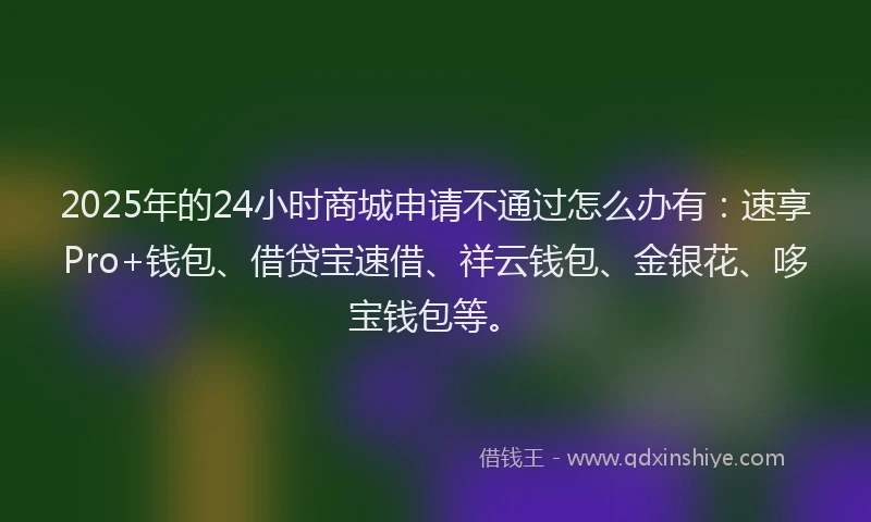 2025年的24小时商城申请不通过怎么办有：速享Pro+钱包、借贷宝速借、祥云钱包、金银花、哆宝钱包等。
