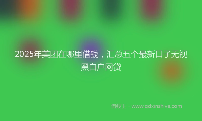 2025年美团在哪里借钱,汇总五个最新口子无视黑白户网贷