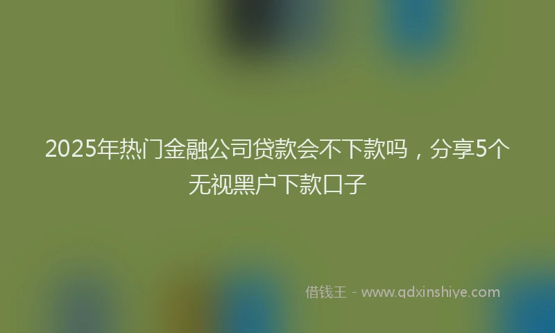 2025年热门金融公司贷款会不下款吗，分享5个无视黑户下款口子
