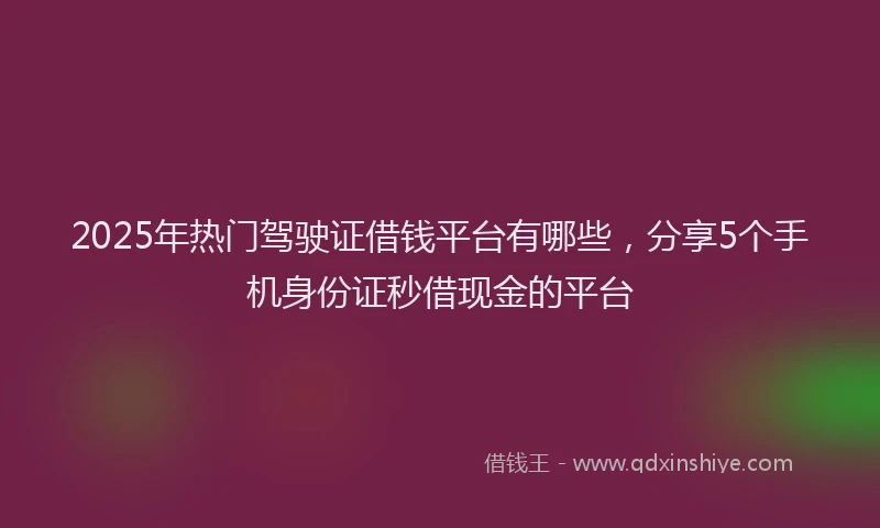 2025年热门驾驶证借钱平台有哪些，分享5个手机身份证秒借现金的平台