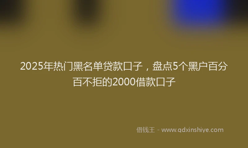 2025年热门黑名单贷款口子,盘点5个黑户百分百不拒的2000借款口子