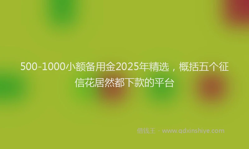 500-1000小额备用金2025年精选，概括五个征信花居然都下款的平台