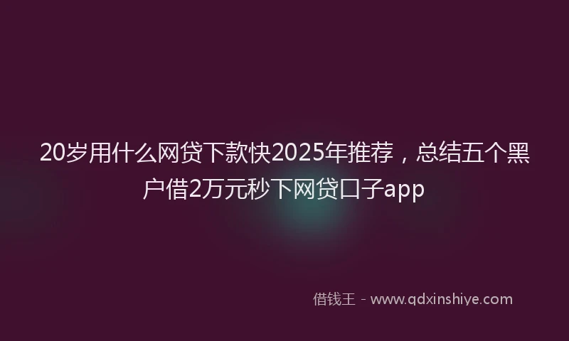 20岁用什么网贷下款快2025年推荐，总结五个黑户借2万元秒下网贷口子app