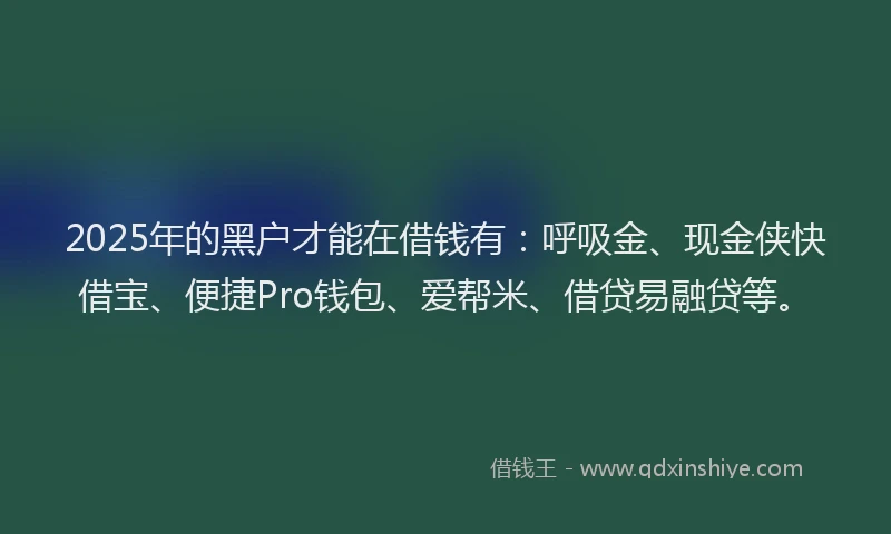 2025年的黑户才能在借钱有:呼吸金、现金侠快借宝、便捷Pro钱包、爱帮米、借贷易融贷等。