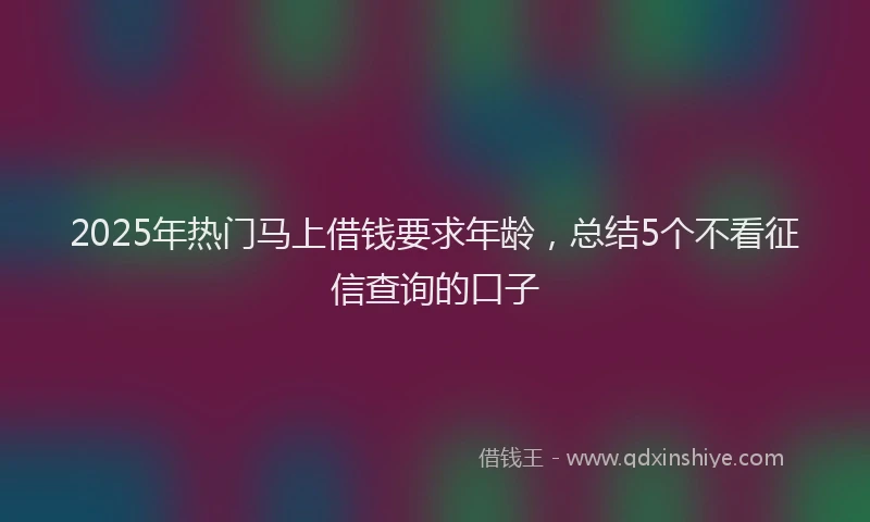 2025年热门马上借钱要求年龄，总结5个不看征信查询的口子