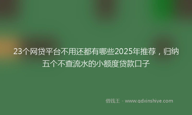 23个网贷平台不用还都有哪些2025年推荐，归纳五个不查流水的小额度贷款口子