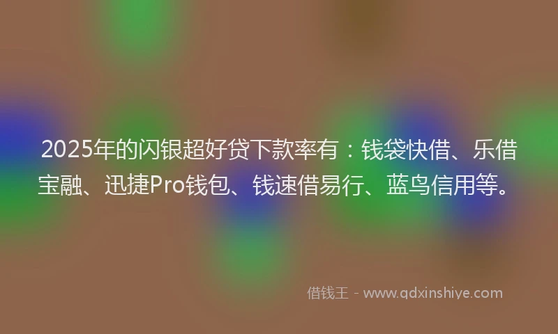 2025年的闪银超好贷下款率有：钱袋快借、乐借宝融、迅捷Pro钱包、钱速借易行、蓝鸟信用等。