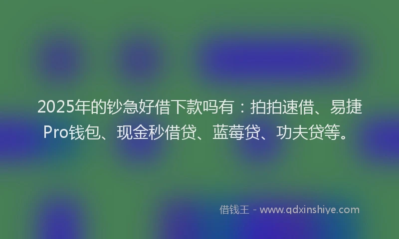 2025年的钞急好借下款吗有：拍拍速借、易捷Pro钱包、现金秒借贷、蓝莓贷、功夫贷等。