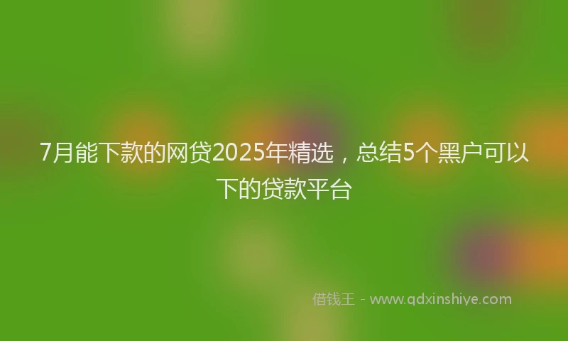 7月能下款的网贷2025年精选，总结5个黑户可以下的贷款平台