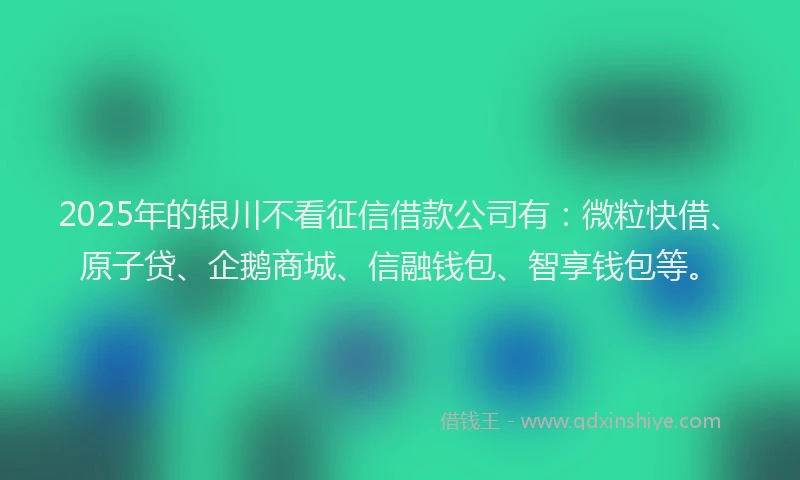 2025年的银川不看征信借款公司有：微粒快借、原子贷、企鹅商城、信融钱包、智享钱包等。