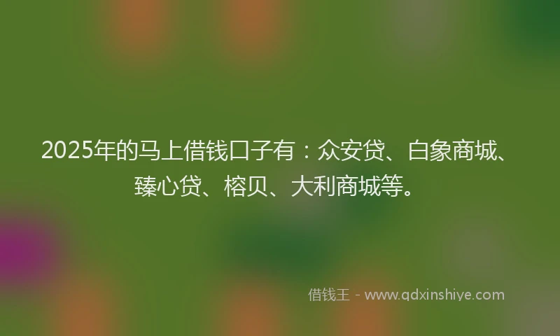 2025年的马上借钱口子有：众安贷、白象商城、臻心贷、榕贝、大利商城等。