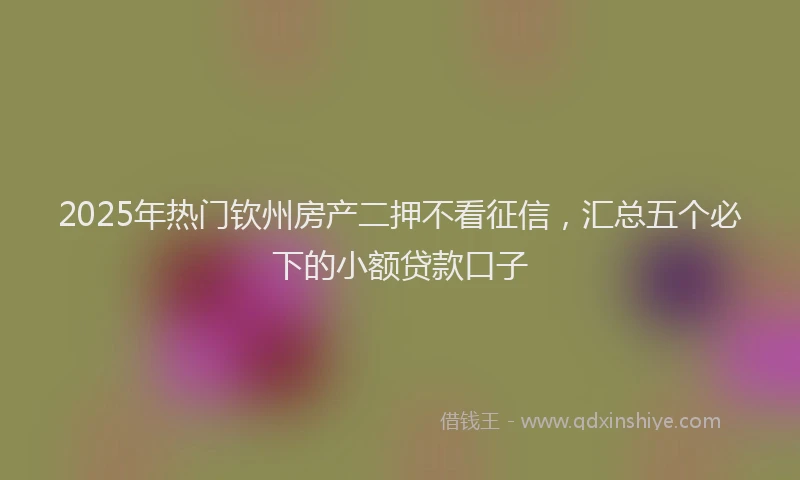 2025年热门钦州房产二押不看征信，汇总五个必下的小额贷款口子