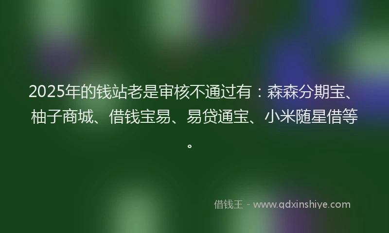 2025年的钱站老是审核不通过有：森森分期宝、柚子商城、借钱宝易、易贷通宝、小米随星借等。