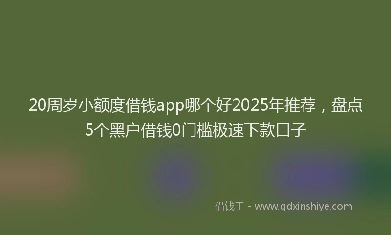 20周岁小额度借钱app哪个好2025年推荐，盘点5个黑户借钱0门槛极速下款口子