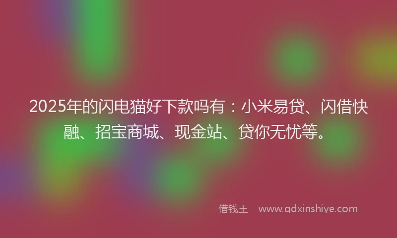 2025年的闪电猫好下款吗有:小米易贷、闪借快融、招宝商城、现金站、贷你无忧等。