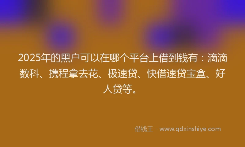 2025年的黑户可以在哪个平台上借到钱有：滴滴数科、携程拿去花、极速贷、快借速贷宝盒、好人贷等。