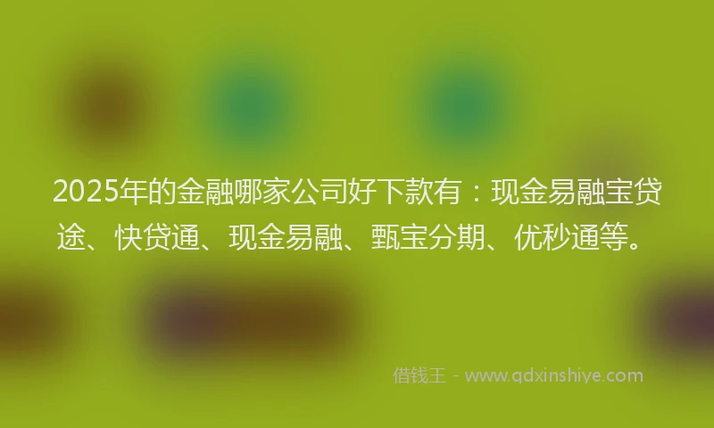 2025年的金融哪家公司好下款有：现金易融宝贷途、快贷通、现金易融、甄宝分期、优秒通等。