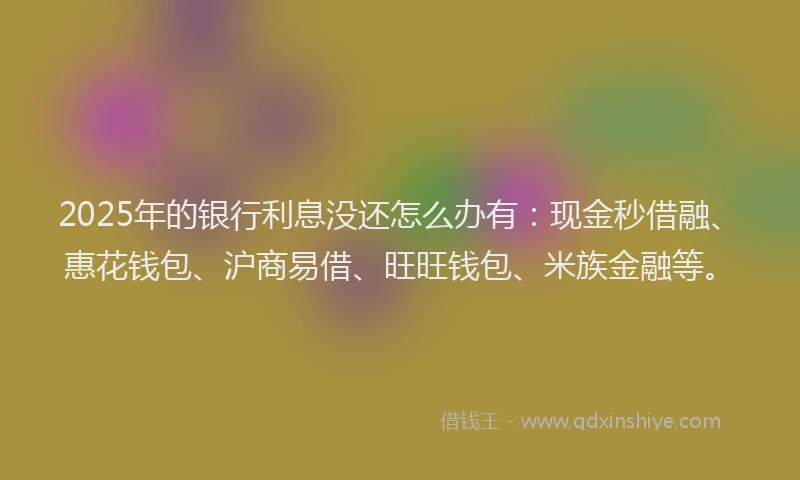 2025年的银行利息没还怎么办有:现金秒借融、惠花钱包、沪商易借、旺旺钱包、米族金融等。