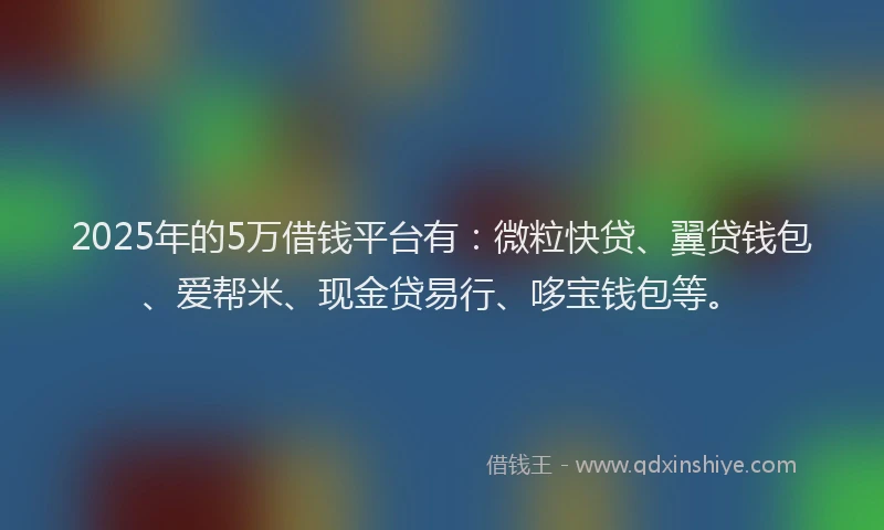2025年的5万借钱平台有：微粒快贷、翼贷钱包、爱帮米、现金贷易行、哆宝钱包等。