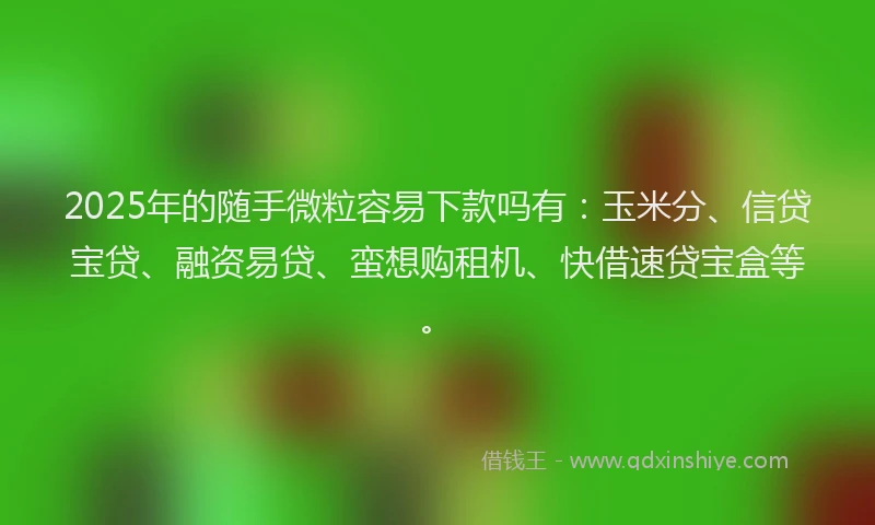 2025年的随手微粒容易下款吗有：玉米分、信贷宝贷、融资易贷、蛮想购租机、快借速贷宝盒等。
