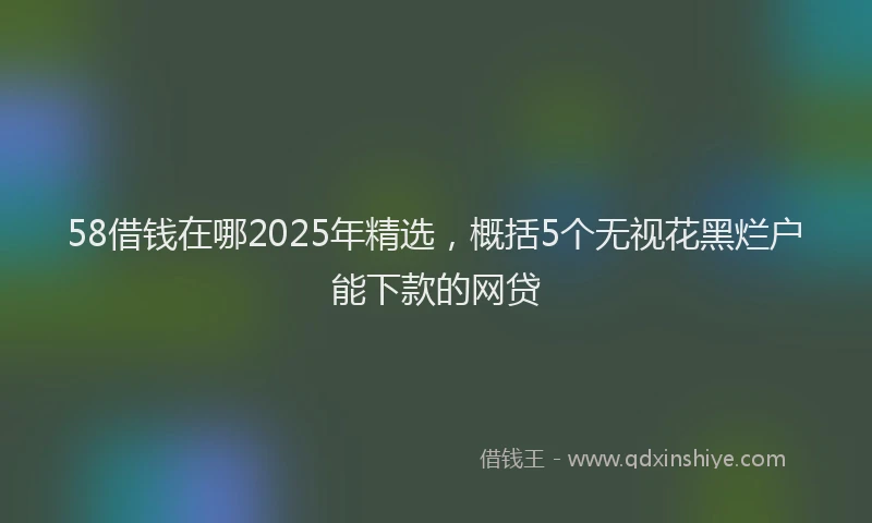 58借钱在哪2025年精选，概括5个无视花黑烂户能下款的网贷