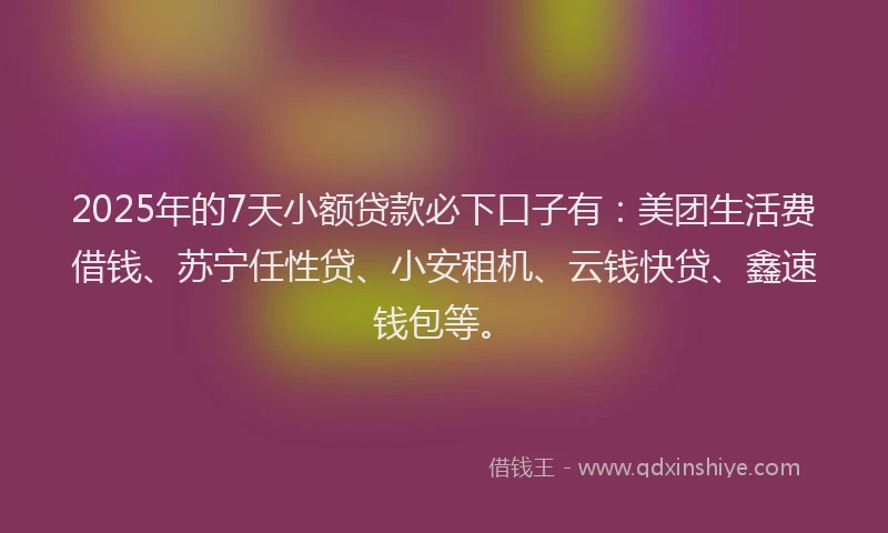 2025年的7天小额贷款必下口子有：美团生活费借钱、苏宁任性贷、小安租机、云钱快贷、鑫速钱包等。