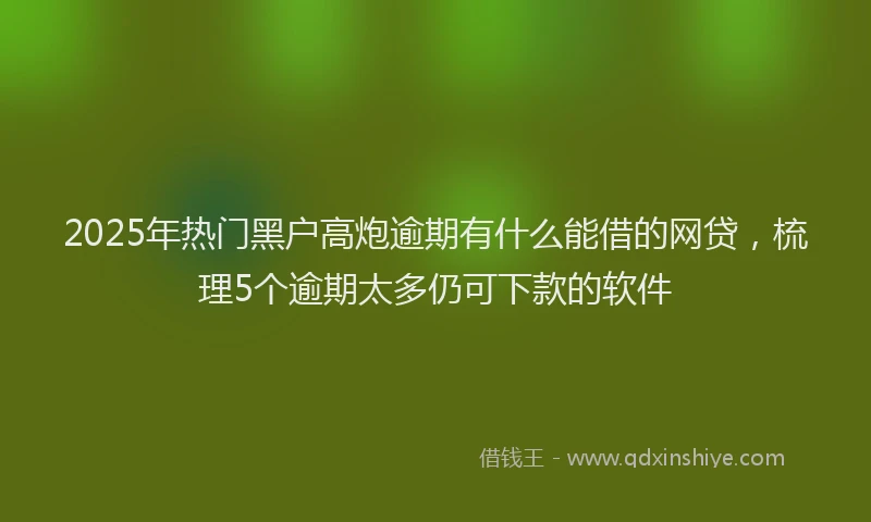 2025年热门黑户高炮逾期有什么能借的网贷，梳理5个逾期太多仍可下款的软件