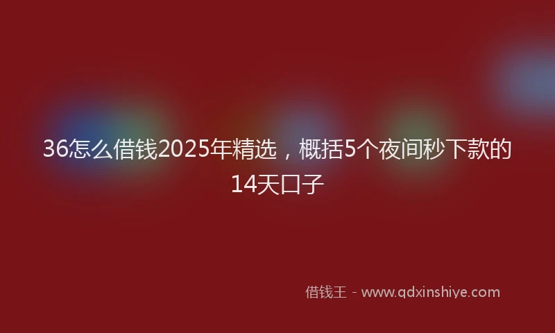 36怎么借钱2025年精选，概括5个夜间秒下款的14天口子
