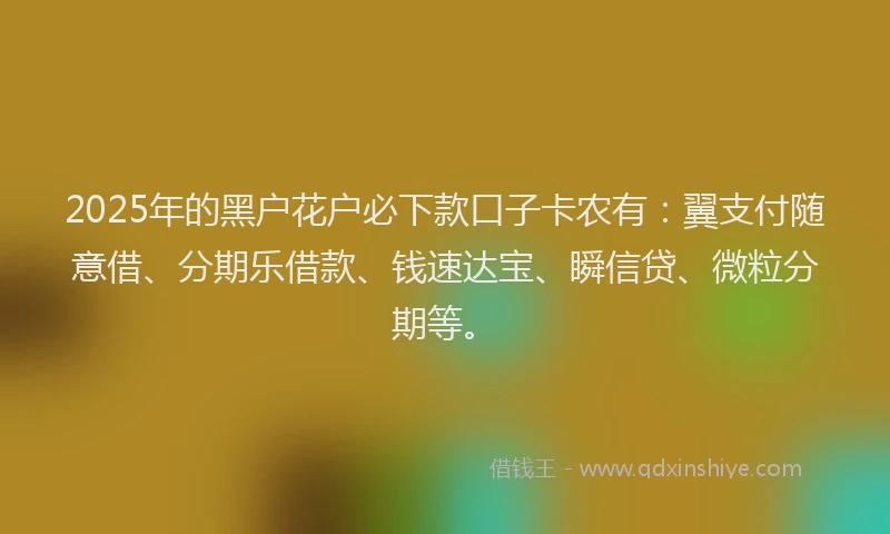 2025年的黑户花户必下款口子卡农有：翼支付随意借、分期乐借款、钱速达宝、瞬信贷、微粒分期等。