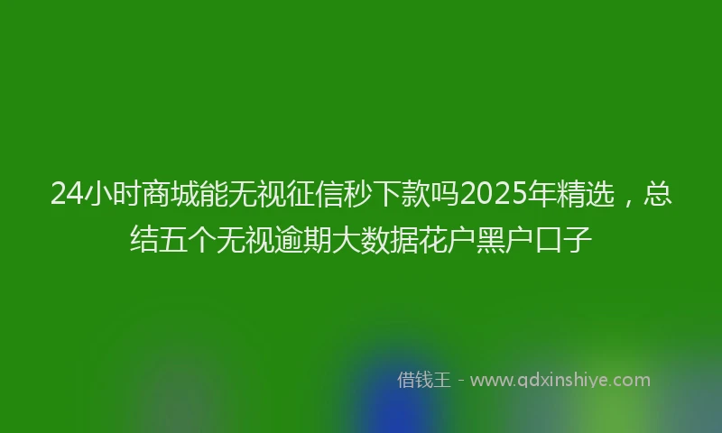24小时商城能无视征信秒下款吗2025年精选,总结五个无视逾期大数据花户黑户口子