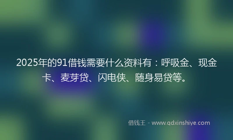 2025年的91借钱需要什么资料有：呼吸金、现金卡、麦芽贷、闪电侠、随身易贷等。