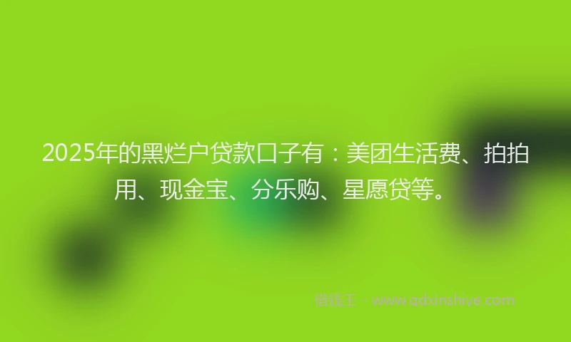 2025年的黑烂户贷款口子有：美团生活费、拍拍用、现金宝、分乐购、星愿贷等。