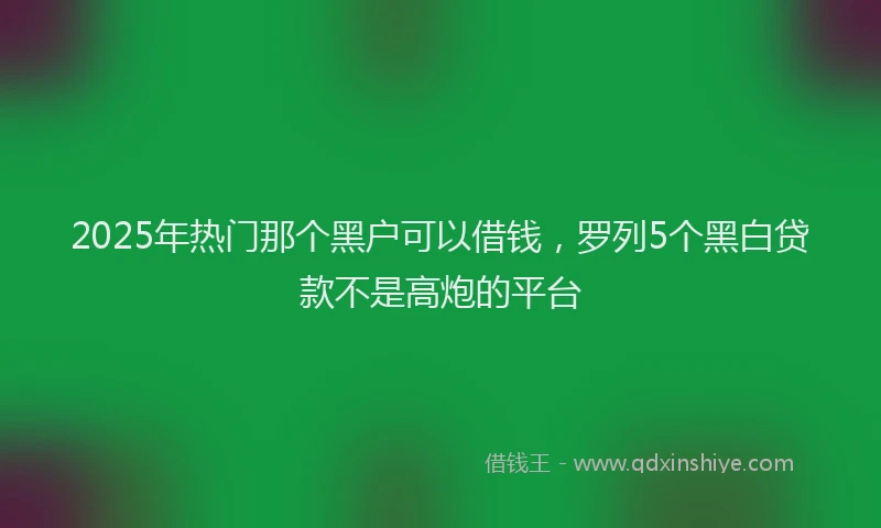 2025年热门那个黑户可以借钱，罗列5个黑白贷款不是高炮的平台