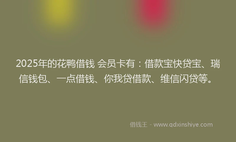 2025年的花鸭借钱 会员卡有：借款宝快贷宝、瑞信钱包、一点借钱、你我贷借款、维信闪贷等。