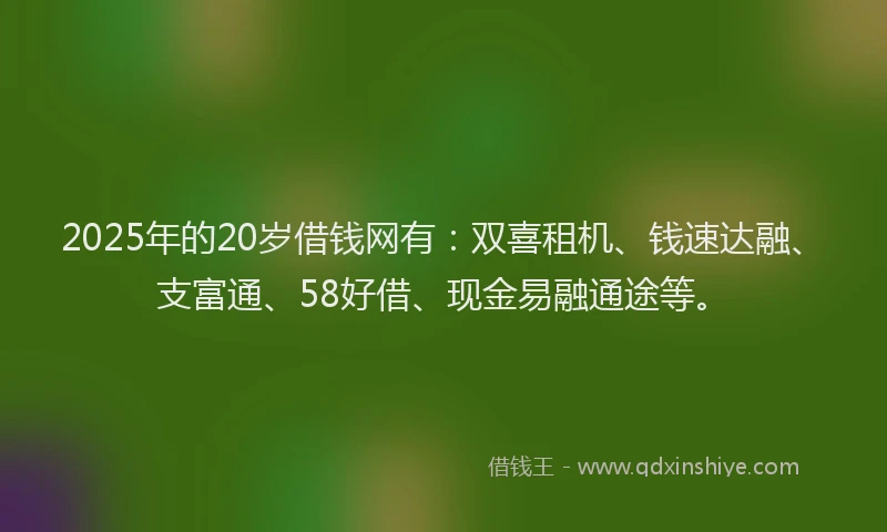 2025年的20岁借钱网有：双喜租机、钱速达融、支富通、58好借、现金易融通途等。