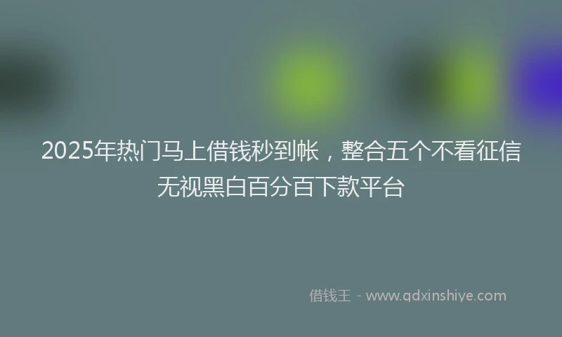 2025年热门马上借钱秒到帐，整合五个不看征信无视黑白百分百下款平台