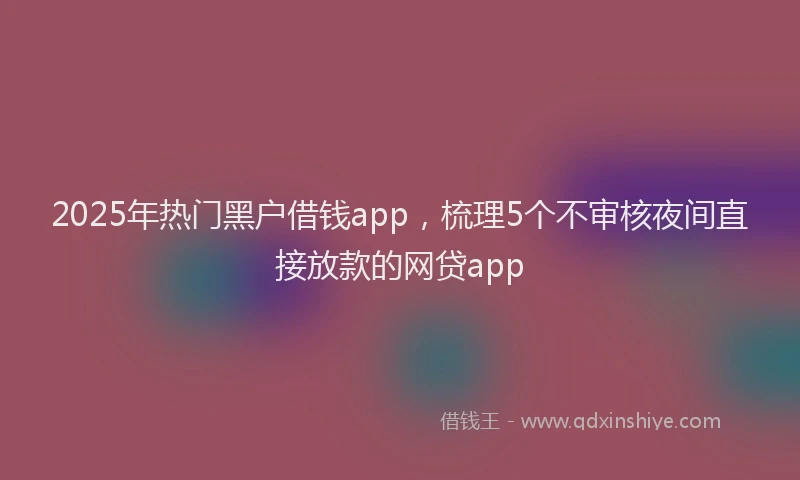 2025年热门黑户借钱app，梳理5个不审核夜间直接放款的网贷app