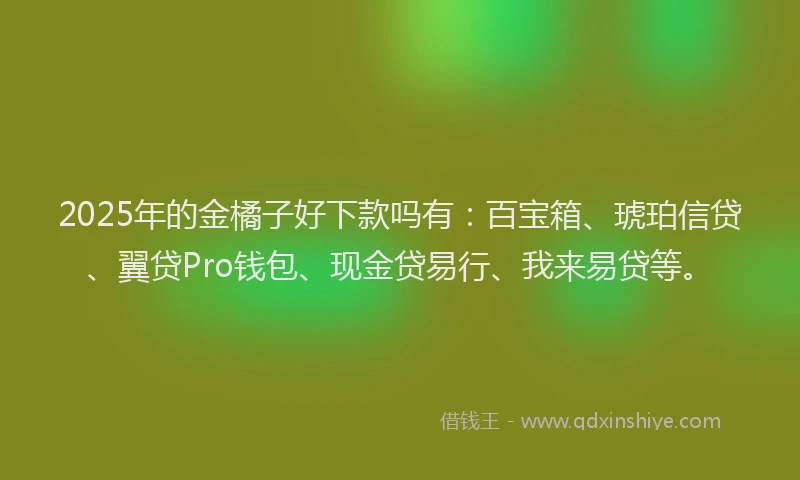 2025年的金橘子好下款吗有：百宝箱、琥珀信贷、翼贷Pro钱包、现金贷易行、我来易贷等。