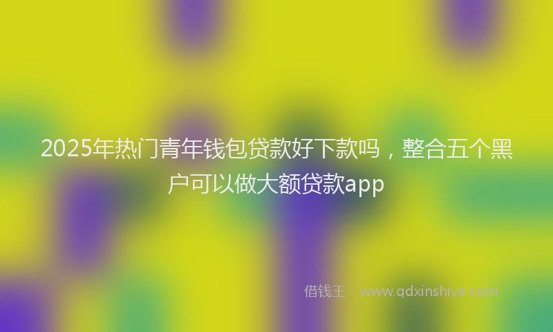 2025年热门青年钱包贷款好下款吗，整合五个黑户可以做大额贷款app