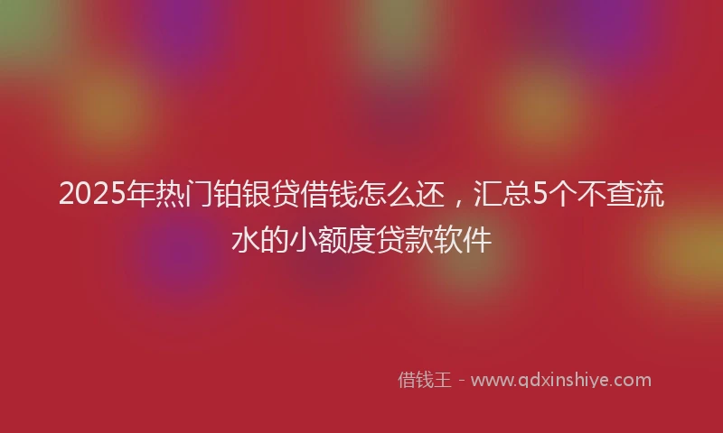 2025年热门铂银贷借钱怎么还，汇总5个不查流水的小额度贷款软件