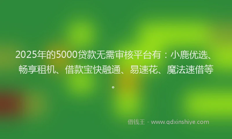 2025年的5000贷款无需审核平台有：小鹿优选、畅享租机、借款宝快融通、易速花、魔法速借等。