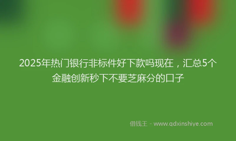 2025年热门银行非标件好下款吗现在,汇总5个金融创新秒下不要芝麻分的口子