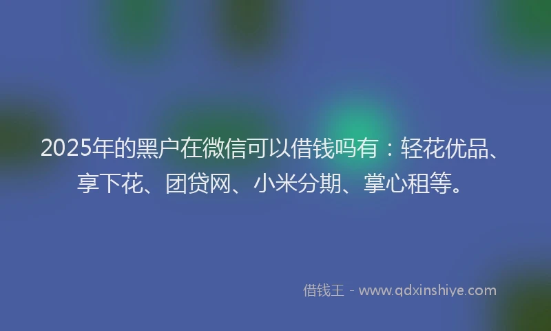 2025年的黑户在微信可以借钱吗有：轻花优品、享下花、团贷网、小米分期、掌心租等。