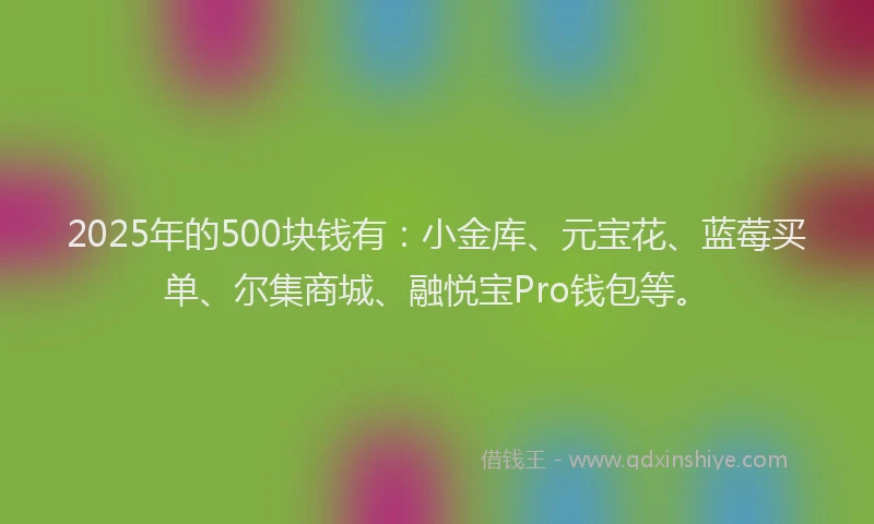 2025年的500块钱有:小金库、元宝花、蓝莓买单、尔集商城、融悦宝Pro钱包等。
