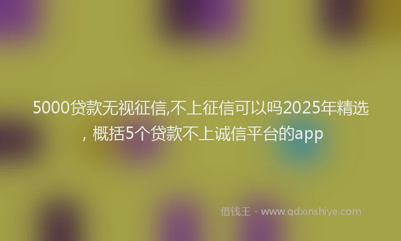 5000贷款无视征信,不上征信可以吗2025年精选，概括5个贷款不上诚信平台的app