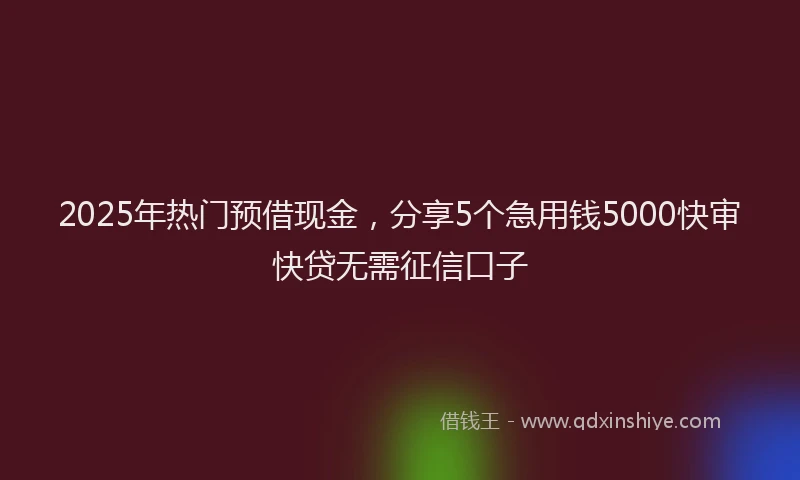 2025年热门预借现金，分享5个急用钱5000快审快贷无需征信口子