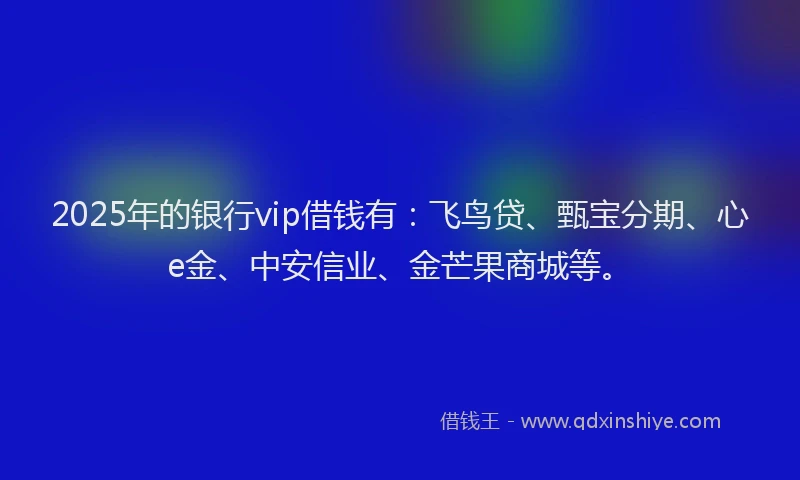 2025年的银行vip借钱有：飞鸟贷、甄宝分期、心e金、中安信业、金芒果商城等。
