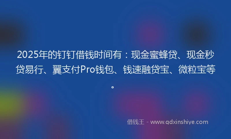 2025年的钉钉借钱时间有：现金蜜蜂贷、现金秒贷易行、翼支付Pro钱包、钱速融贷宝、微粒宝等。