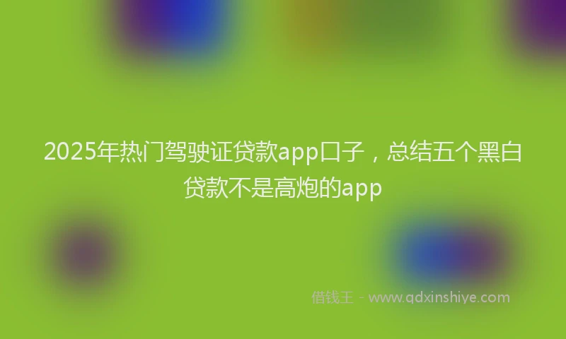2025年热门驾驶证贷款app口子，总结五个黑白贷款不是高炮的app